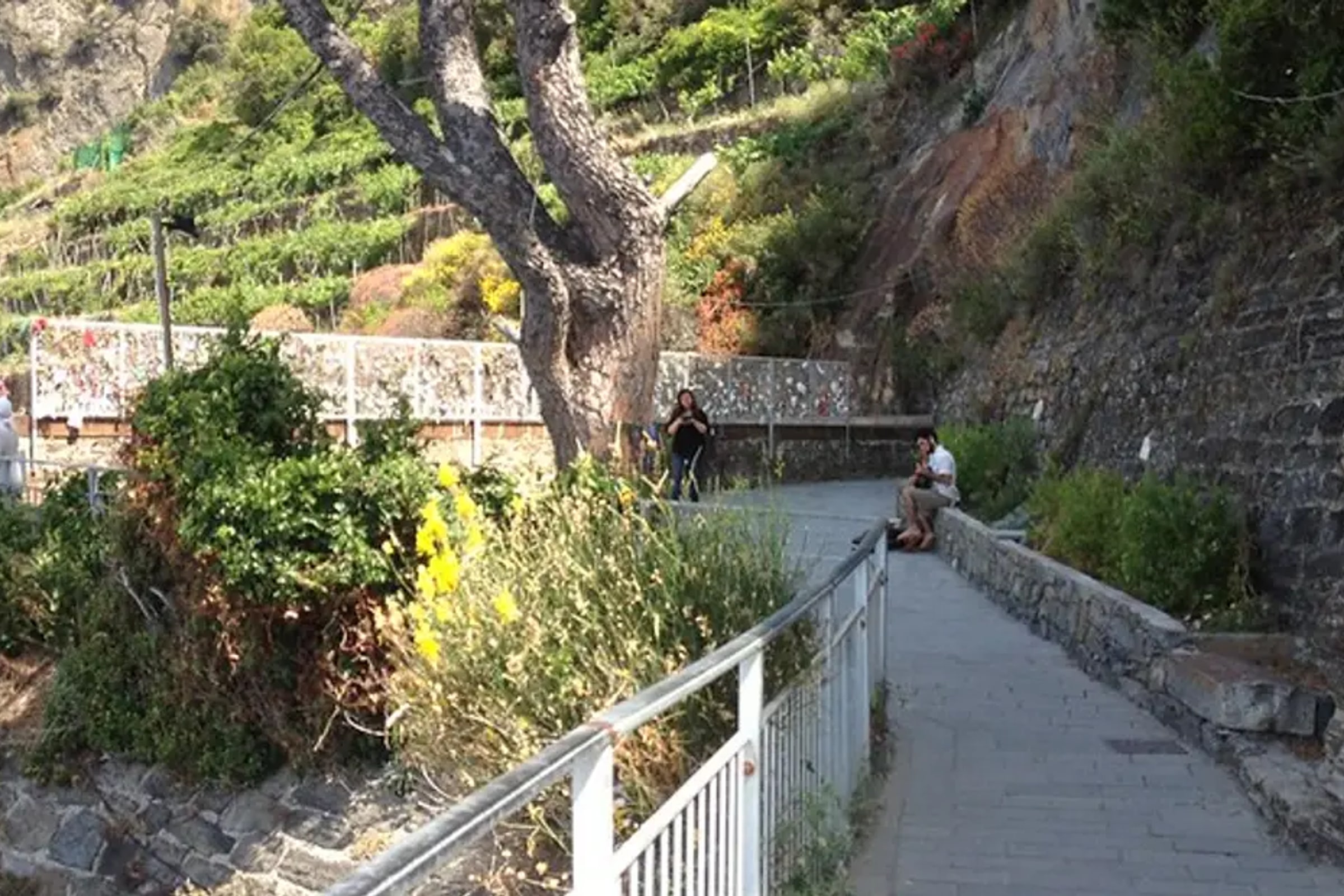 Semi Private Cinque Terre and Pisa Leaning Tower Tour from Florence